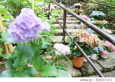 長谷寺 奈良県 長谷寺 奈良県 92637151