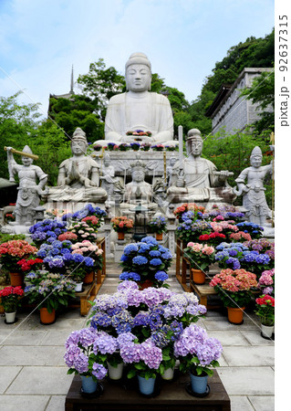 壷阪寺 奈良県 壷阪寺 奈良県 92637315