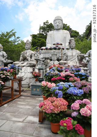 壷阪寺　奈良県 92637316