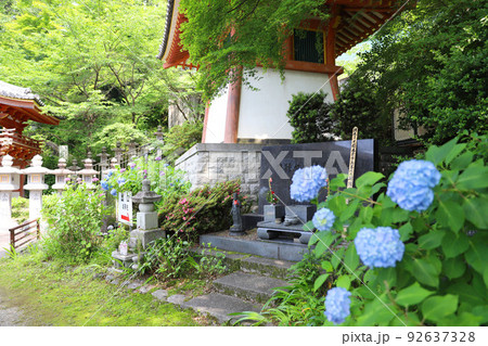 壷阪寺　奈良県 92637328