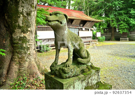 埼玉県秩父市下吉田　椋(むく)神社の狛犬 92637354