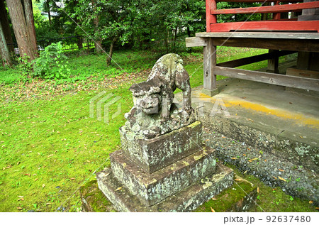 埼玉県秩父市下吉田 椋(むく)神社 拝殿の狛犬 埼玉県秩父市下吉田 椋(むく)神社 拝殿の狛犬 92637480
