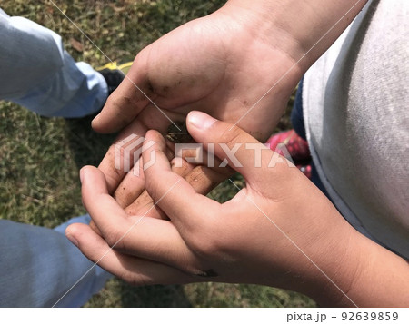 小さな子供の手　カエル 92639859