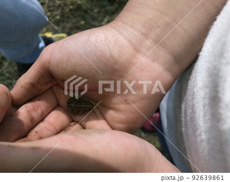 小さな手の子供　カエル　手 92639861
