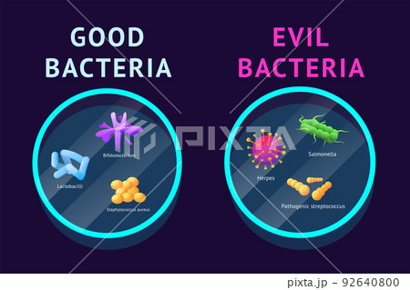 Good and bad bacteria. Lactobacillus and probiotic. Microbe germs in gut. Microbiome magnification research. Lab comparison. Happy cute bacterium. Evil pathogens. Vector cartoon microorganism icons 92640800