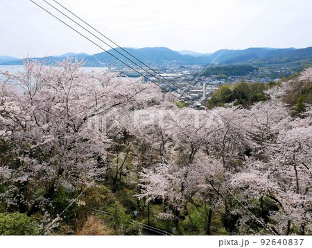 正福寺山公園から見える安芸津　（広島県東広島市安芸津町） 92640837