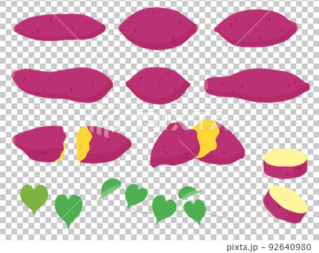 Vegetable illustration variety set sweet potato 92640980
