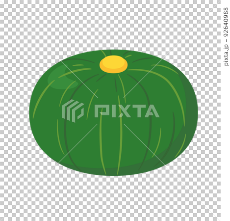 蔬菜插圖南瓜 92640988