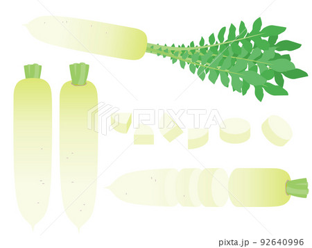 野菜イラスト　バラエティセット　ダイコン 92640996