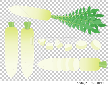 野菜イラスト　バラエティセット　ダイコン 92640996