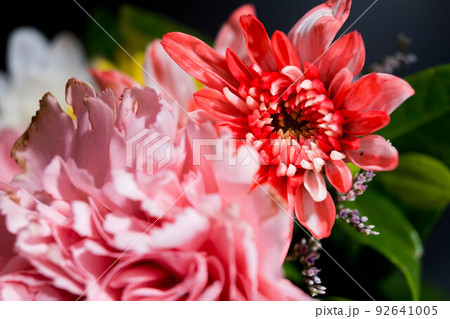 full color of closeup beautiful flower. 92641005