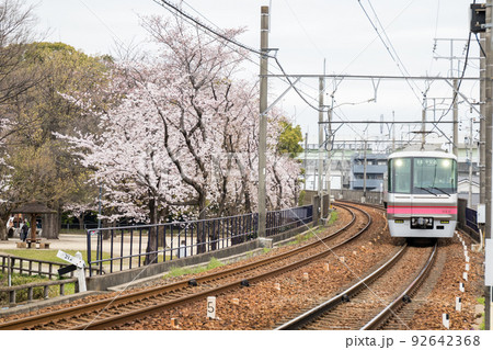 【名鉄小牧線】桜咲く小牧線沿線 92642368