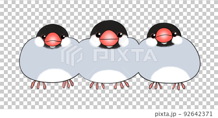 普通麻雀 92642371