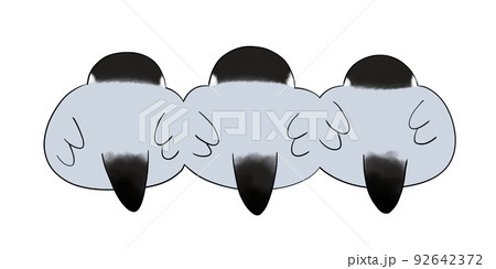 ノーマル文鳥 92642372