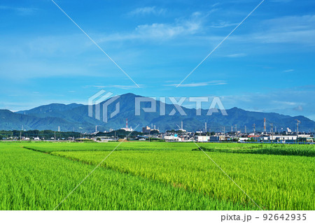 美しい水田と丹沢山系の山並（夏、七月） 92642935
