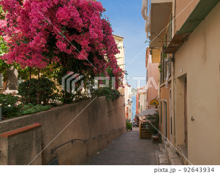Pink bougainvillea in a narrow street by the sea in Villefranche-sur-Mer on the French Rivier Pink bougainvillea in a narrow street by the sea in Villefranche-sur-Mer on the French Rivier 92643934