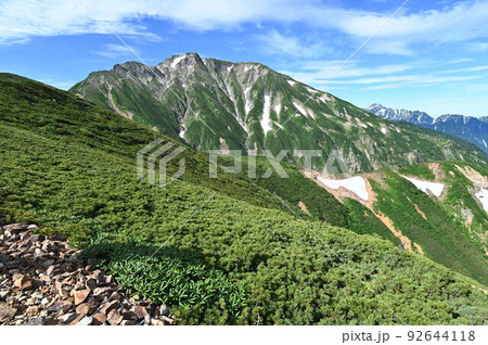 夏の早朝の五竜岳 夏の早朝の五竜岳 92644118