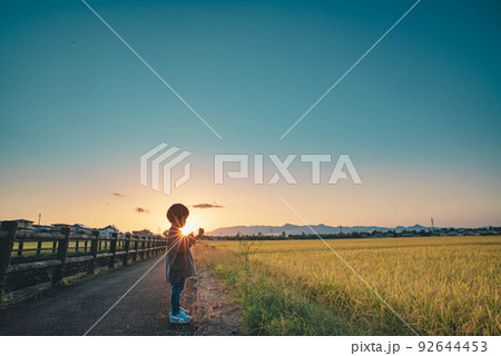 秋の夕方に稲刈り前の田圃の前でとんぼを捕まえ見つめている子ども 92644453