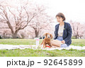 愛犬とお花見その2 92645899
