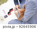 愛犬の思い出 92645906