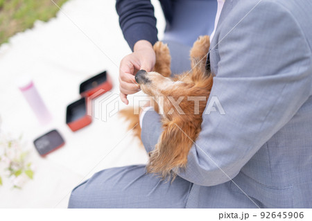 愛犬の思い出 92645906