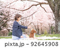 愛犬とお花見その6 92645908