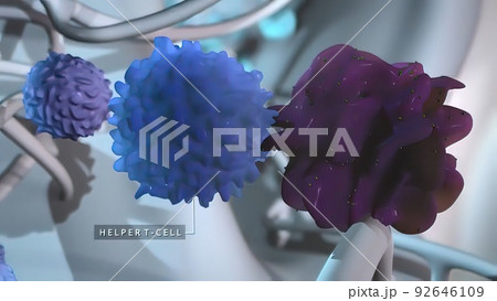 3D Medical of Immunotherapy. 92646109