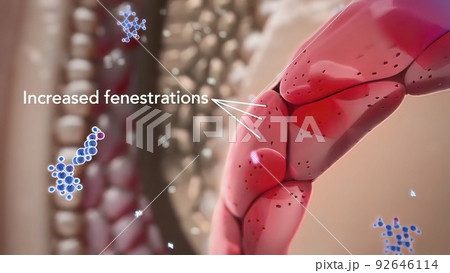 Hair follicles are small, pocket-like holes in our skin. 92646114