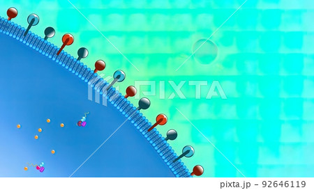 The human immunodeficiency virus (HIV) replication cycle 92646119