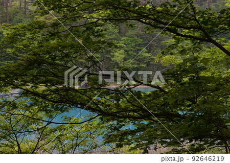 東北 福島 裏磐梯 五色沼 自然 散策路 コース 磐梯山 高原 レイク リゾート 噴火 湖沼 東北 福島 裏磐梯 五色沼 自然 散策路 コース 磐梯山 高原 レイク リゾート 噴火 湖沼 92646219