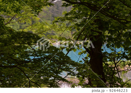 東北　福島　裏磐梯　五色沼　自然　散策路　コース　磐梯山　高原　レイク　リゾート　噴火　湖沼 92646223