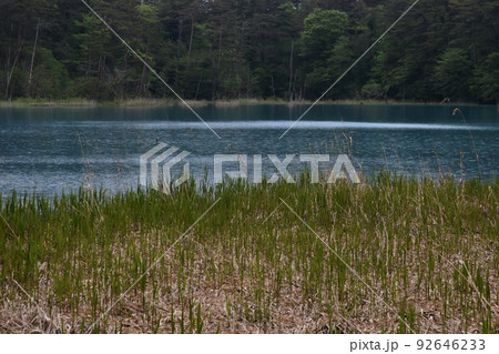 東北 福島 裏磐梯 五色沼 自然 散策路 コース 磐梯山 高原 レイク リゾート 噴火 湖沼 東北 福島 裏磐梯 五色沼 自然 散策路 コース 磐梯山 高原 レイク リゾート 噴火 湖沼 92646233