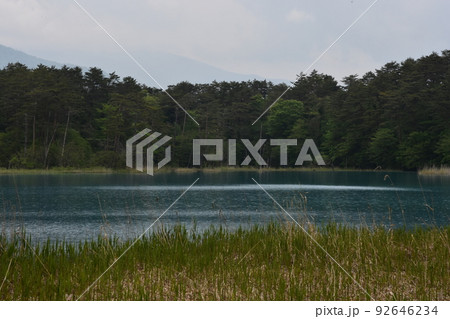 東北　福島　裏磐梯　五色沼　自然　散策路　コース　磐梯山　高原　レイク　リゾート　噴火　湖沼 92646234