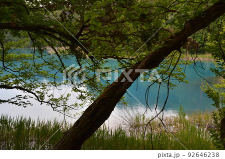 東北　福島　裏磐梯　五色沼　自然　散策路　コース　磐梯山　高原　レイク　リゾート　噴火　湖沼 92646238