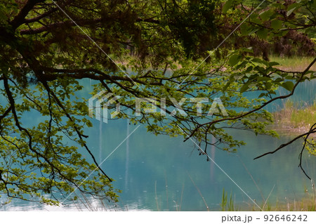 東北　福島　裏磐梯　五色沼　自然　散策路　コース　磐梯山　高原　レイク　リゾート　噴火　湖沼 92646242