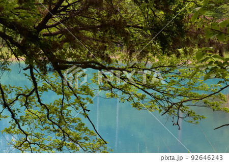 東北　福島　裏磐梯　五色沼　自然　散策路　コース　磐梯山　高原　レイク　リゾート　噴火　湖沼 92646243