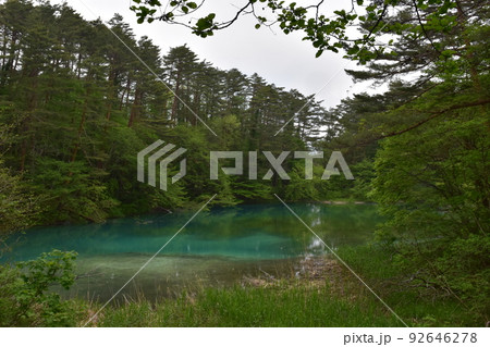 東北　福島　裏磐梯　五色沼　自然　散策路　コース　磐梯山　高原　レイク　リゾート　噴火　湖沼 92646278