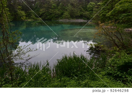 東北　福島　裏磐梯　五色沼　自然　散策路　コース　磐梯山　高原　レイク　リゾート　噴火　湖沼 92646298