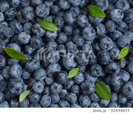 Blueberry with green leaves background. Blue bilberry berries in drops closeup. Blueberry texture. Top view, flat lay. 92648655