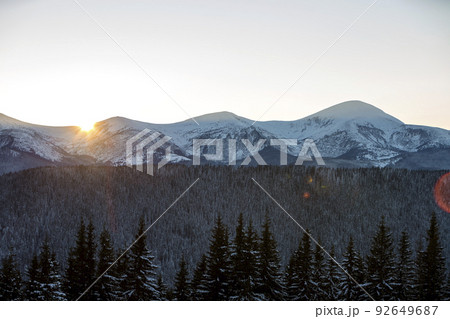 Winter mountains landscape panorama at sunrise. Clear blue sky over dark spruce pine trees forest, covered with snow mountain ridge peaks, bright rays of raising sun at dawn. Winter mountains landscape panorama at sunrise. Clear blue sky over dark spruce pine trees forest, covered with snow mountain ridge peaks, bright rays of raising sun at dawn. 92649687