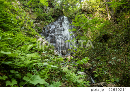 尾瀬桧枝岐　緑の中の抱返ノ滝 92650214