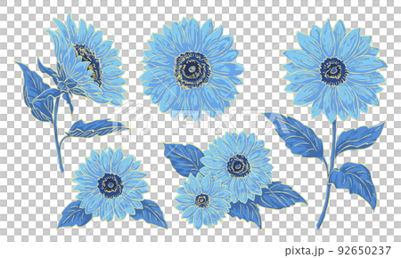 Sunflower illustration material set, line drawing and coloring, blue flowers, flower illustration elements, vector data. 92650237