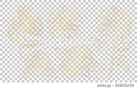 Sunflower illustration material set, gold line drawing, flower illustration element, vector data. 92650239