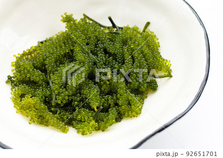 Sea grape seaweed on wihte background. 92651701