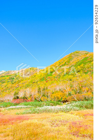 栂池自然園（秋） 92654229