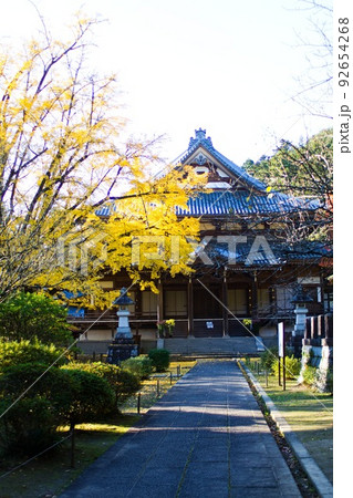 稲田禅房西念寺 本堂の全景と黄色く色づくお葉付イチョウ 笠間市 稲田禅房西念寺 本堂の全景と黄色く色づくお葉付イチョウ 笠間市 92654268