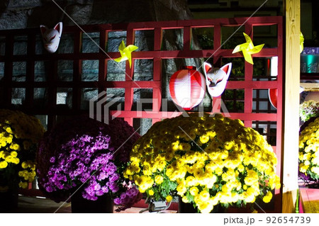 菊のライトアップと狐の面と風車　笠間菊まつり 92654739
