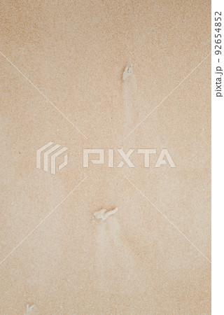 サンゴのかけらでできた美しい八重山の砂 92654852