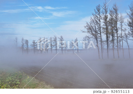 青空の下に広がる地霧(北海道東部) 青空の下に広がる地霧(北海道東部) 92655113