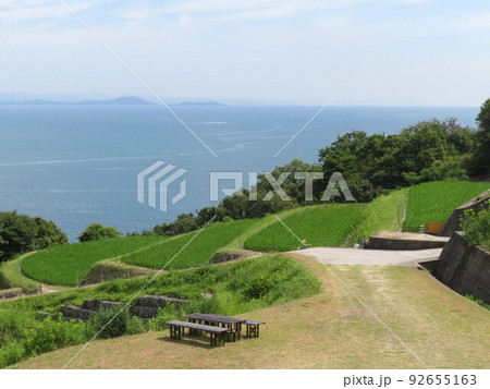 夏の豊島 92655163